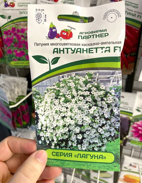 Петуния Антуанетта F1 каскадная-ампельная, серия "Лагуна"